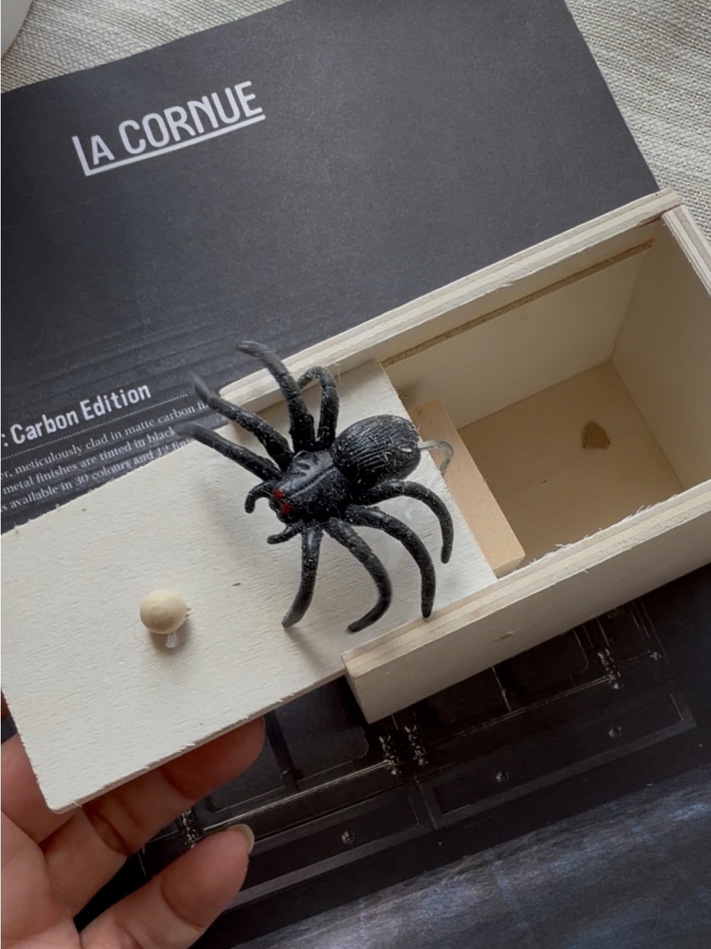 2/$18  Spooky Halloween Spider Scare Prank Box